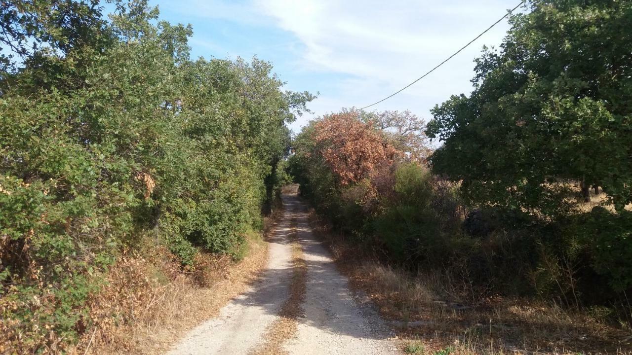 Agriturismo Sa E Padedda Mores Exterior photo